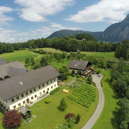 Bauernhof "Unteres Feld" Villa Altmünster Buitenkant foto